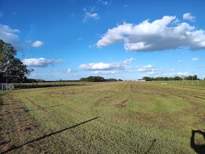 McDonald's Field